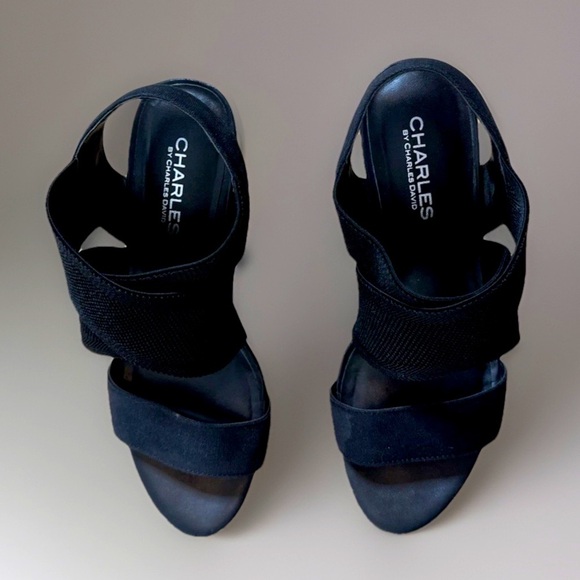 Charles by CHARLES DAVID Wedge Platform
Sandals - Picture 1 of 10
